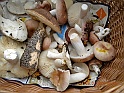 camera 095